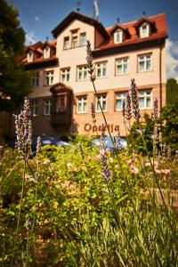 Zahrada ubytování Hotel Hauser Boutique