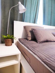 ein Bett mit einer Lampe und einer Pflanze darauf in der Unterkunft Plac Grzybowski Apartment in Warschau