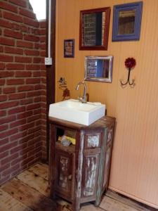 a bathroom with a sink and a brick wall at Vila do Mago in Itamonte