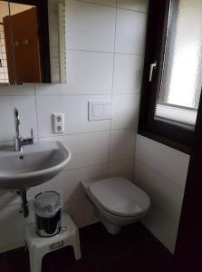 ein Bad mit einem WC und einem Waschbecken in der Unterkunft Bungalow M 43 in Burhave in Burhave