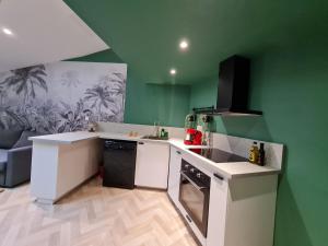 a kitchen with green walls and a white counter top at La Canopée in Riom