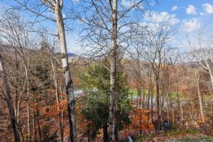 un gruppo di alberi con una montagna sullo sfondo di Whiffletree F6 a Killington