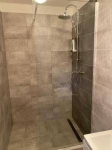 W łazience znajduje się prysznic ze szklanymi drzwiami. w obiekcie Relax Centrum Gól w mieście Loučná nad Desnou