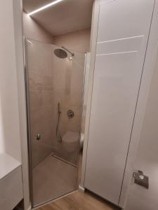een douche met een glazen deur in de badkamer bij Apartamenty 21 Śląska in Szczecin