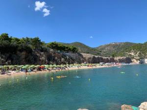 Táj Show holiday homes közelében