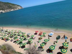 Táj Show holiday homes közelében