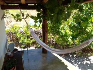 a hammock hanging from a grape cluster in a vineyard at TerraFazBem in Marvão