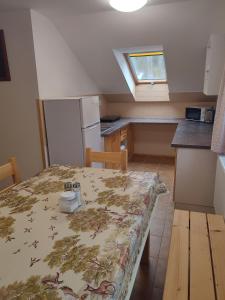 Kuchyňa alebo kuchynka v ubytovaní apartmány U tety Hedy