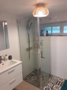 a bathroom with a shower and a sink and a mirror at La grange de l'épine in Forges-la-Forêt +24 photos