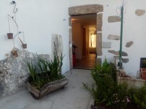 a hallway of a house with a door and some plants at TerraFazBem in Marvão