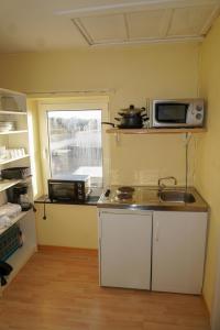 eine Küche mit einer Spüle und einer Mikrowelle in der Unterkunft Pinnebergheim in Haderslev