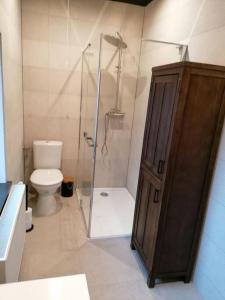 een badkamer met een toilet en een douche met een glazen deur bij Gîte au coin perdu in Brugelette