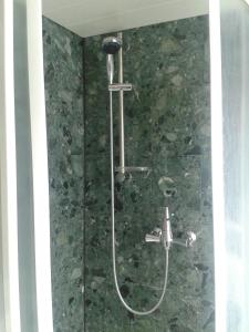 BermsgrünKlein aber fein - Apartment für 2 bis 4 Personen的浴室里有淋浴喷头的淋浴 更多42张照片