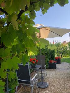 einen Tisch, Stühle und einen Sonnenschirm in einem Garten in der Unterkunft Gästehaus Cramer in Bad Kissingen