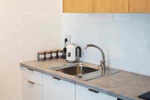 un bancone della cucina con lavandino e apparecchio di Maya's Flats & Resorts 41 - Walowa 25 F 25 a Danzica