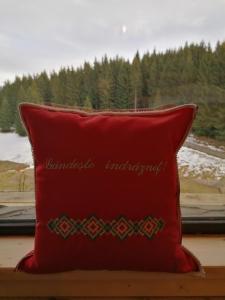 Foto dalla galleria di Căsuța Con a Fundata