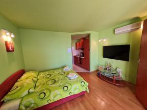 TV a/nebo společenská místnost v ubytování Studio apartman Rene