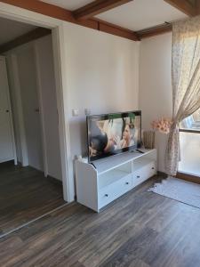 TV a/nebo společenská místnost v ubytování Krásná chata v Želivě