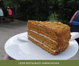 a piece of cake sitting on a white plate at Lesní Restaurace Harrachovka in Tábor