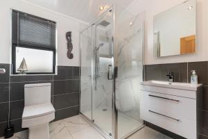 a bathroom with a shower and a toilet and a sink at Hiraeth - Luxury Lodge with Hot Tub, Close to Beach in Penally +19 photos