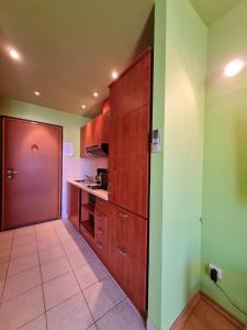 Kuchyň nebo kuchyňský kout v ubytování Studio apartman Rene