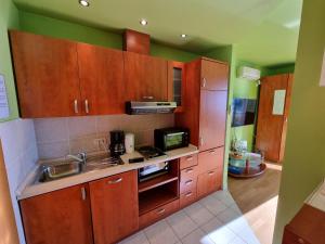 Kuchyň nebo kuchyňský kout v ubytování Studio apartman Rene