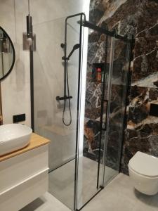 een badkamer met een douche, een toilet en een wastafel bij Apartament River House in Szczecin