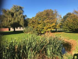 un campo de césped con árboles y un estanque en De Reynaarthoeve en Assenede