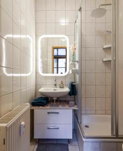 a bathroom with a sink and a mirror and a shower at Kerkermeister Pension in Auerbach