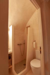 a bathroom with a toilet and a walk in shower at Castelli Torre in Emporio