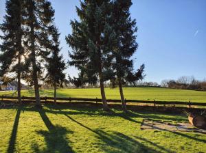 a group of trees in a field with a fence at Ferienwohnung Daliah in Wangels