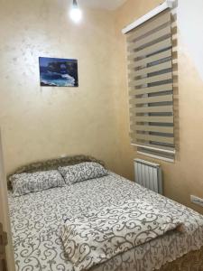 een slaapkamer met een bed en een raam bij STIV in Voždivac