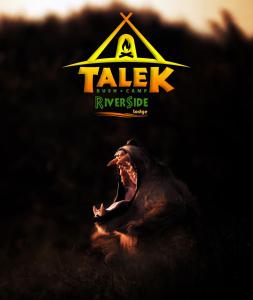 a picture of a gorilla with its mouth open at Talek Bush Camp , Masai Mara in Talek