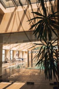 特薩卡德蘇爾的住宿－Teghenis Resort，一座带玻璃窗的建筑中的棕榈树