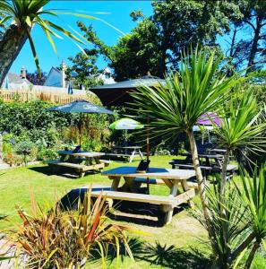 Κήπος έξω από το The Wilcove Inn