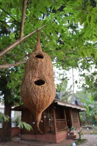 Munroe IslandGreenChromide Homestays的相册照片