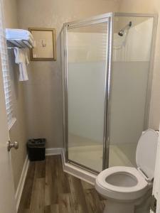 Andy Griffith Parkway Inn في ماونت إيري: حمام مع كشك دش ومرحاض