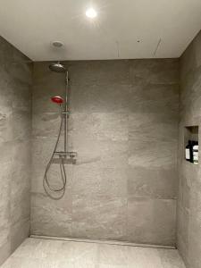 a shower in a bathroom with a gray wall at Pisa House Lakefront Boutique B&B in Cromwell