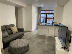 ein Wohnzimmer mit Sofa und Fernseher in der Unterkunft Estudios San Francisco in Teruel