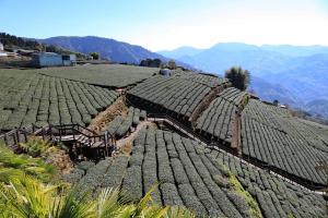 an old roof of a farm with mountains in the background at Alishan B&B YunMinGi in Fenqihu
