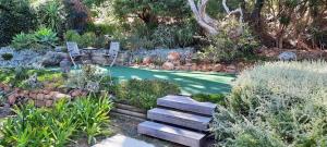 Camps Bay Loft with Stunning Mountain and Ocean Views外面的花园