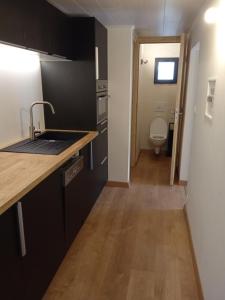 - une cuisine avec un lavabo et des toilettes dans la chambre dans l'établissement Le charmant somme - vue et terrasse privative, à Saint-Pierre-dʼEntremont