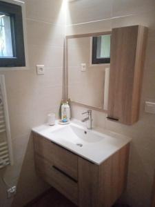 a bathroom with a sink and a mirror at Le charmant somme - vue et terrasse privative in Saint-Pierre-dʼEntremont +4 photos