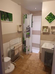 a bathroom with a shower and a toilet and a sink at Cheverny la vie est belle in Cheverny +29 photos