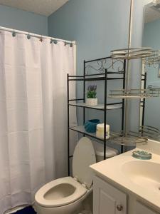 a bathroom with a toilet and a sink at Lovely two-story house with spacious backyard in Summerville +21 photos