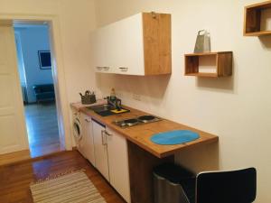 cocina con fregadero y encimera en Wein4tel-Apartments, en Auersthal