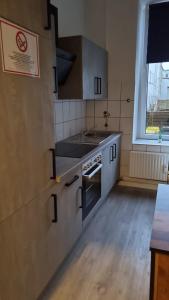 uma cozinha com um lavatório e um fogão forno superior em Stadtnah an der Förde 75 em Flensburg