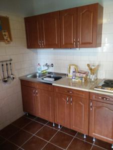 eine Küche mit Holzschränken und einem Waschbecken in der Unterkunft Garden House Vendégház in Bükkszék