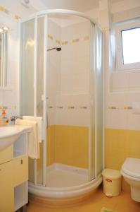 a bathroom with a shower and a toilet at Apartmani Kristiana in Jezera