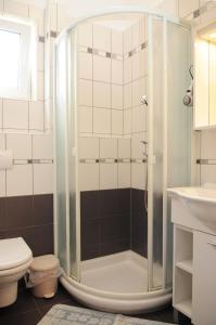a bathroom with a shower with a toilet and a sink at Apartmani Kristiana in Jezera